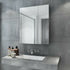 Coralie Stainless Steel Wall Mounted Bathroom Mirror Cabinet | Mirror City