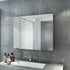 Coralie Stainless Steel Wall Mounted Bathroom Mirror Cabinet | Mirror City