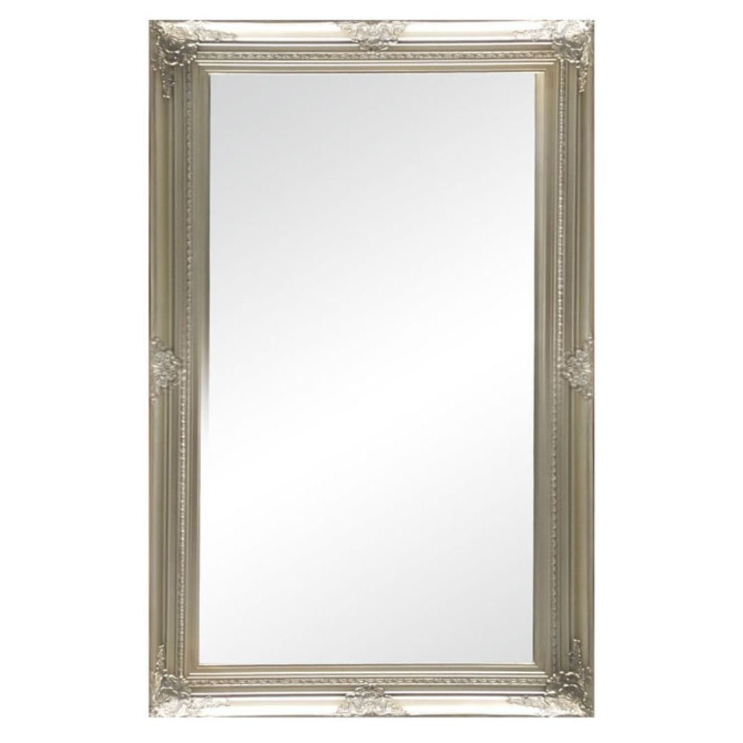 Freda Ornate Champagne Floor Mirror | Mirror City